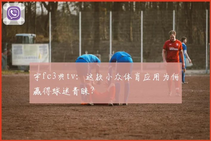 宇fc3典tv：这款小众体育应用为何赢得球迷青睐？