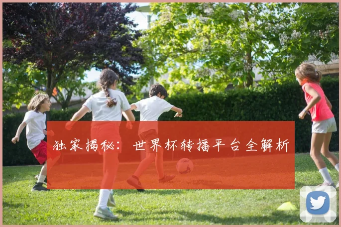独家揭秘：世界杯转播平台全解析
